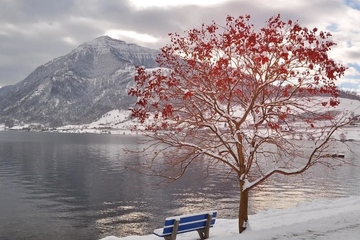 生忌是什么意思,生忌是什么