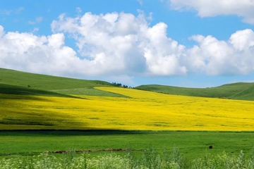 吊唁短信,吊唁短信怎么写