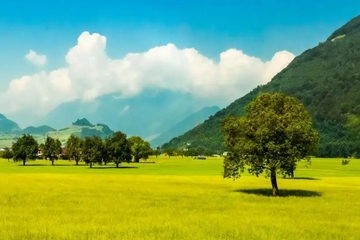 碑文是什么意思,碑文的正确写法