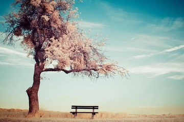 碑文是什么意思,碑文的正确写法