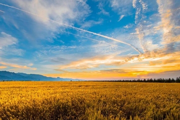 碑文是什么意思,碑文的正确写法