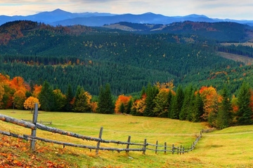 吊唁礼金,吊唁礼金怎么写