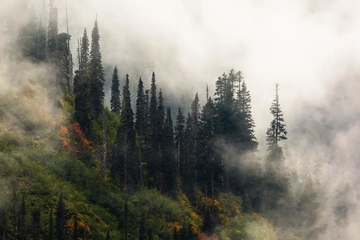 吊唁礼金,吊唁礼金怎么写