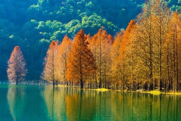 吊唁的意思,吊唁的礼金叫什么