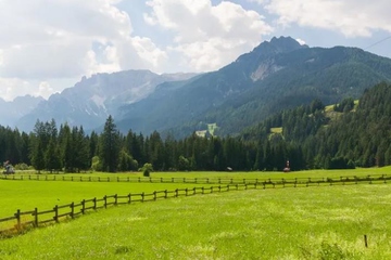 丧事讣告怎么写,白事讣告怎么写