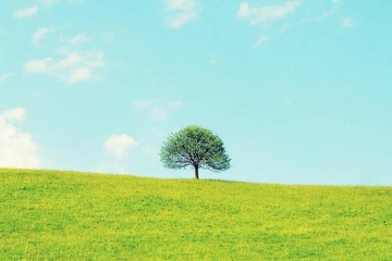 丧事讣告怎么写,白事讣告怎么写