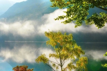 丧事讣告怎么写,白事讣告怎么写