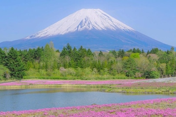 丧事讣告怎么写,白事讣告怎么写