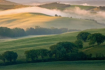 讣告请帖怎么写,逝世请柬怎么写