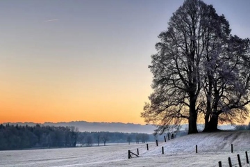 已故的人忌日那天应该做什么
