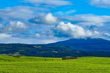 已故的人忌日那天应该做什么