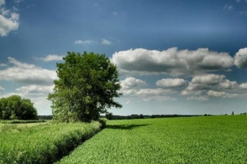 已故的人忌日那天应该做什么