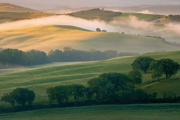 如何回复讣告,怎样回复讣告