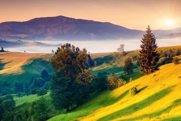 如何回复讣告,怎样回复讣告