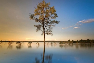 经典悼词,追悼会悼词大全