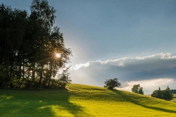 经典悼词,追悼会悼词大全