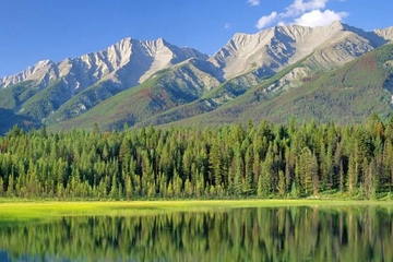 经典悼词,追悼会悼词大全