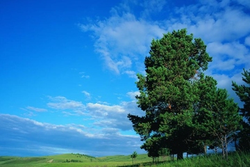 经典悼词,追悼会悼词大全