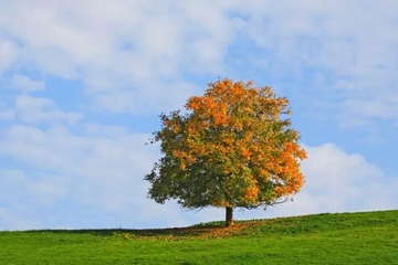 经典挽联,实用挽联大全集锦