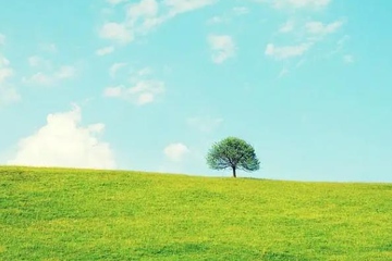 悼词范文,催人泪下感人的追悼词精选