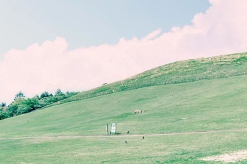 悼词范文,催人泪下感人的追悼词精选