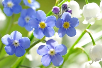 悼词范文,催人泪下感人的追悼词精选