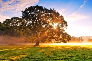 感谢吊唁的简短短信,吊唁感谢短信大全