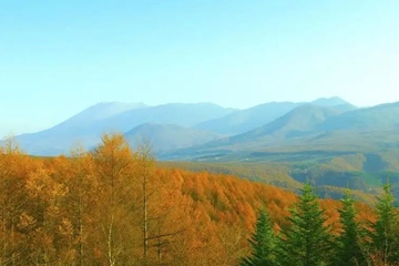 父亲去世简短悼词