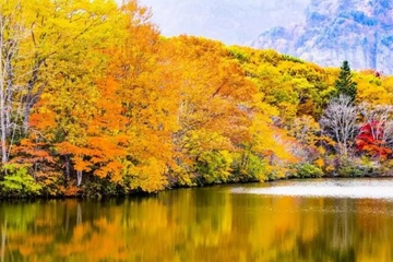 九十高龄老人去世对联