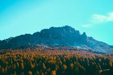 追悼会的答谢词怎么写，追悼会答谢词简短