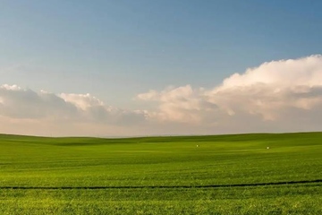 追悼会的答谢词怎么写，追悼会答谢词简短