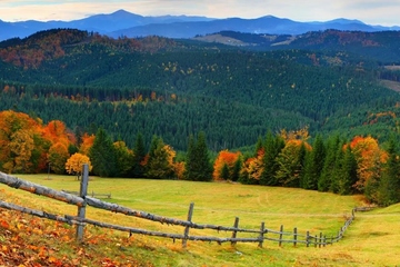 生忌要不要祭拜,生忌可以祭拜吗