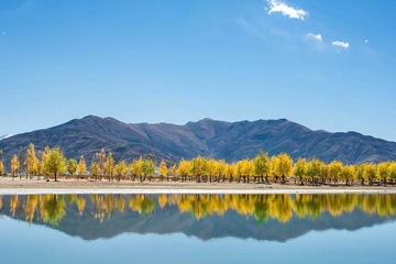 生忌要不要祭拜,生忌可以祭拜吗