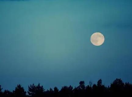 中秋节的传统活动都有哪些,中秋节的主要活动有哪些