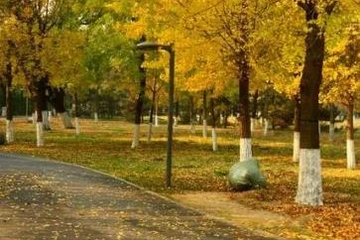 2022年重阳节是哪一天?2022年重阳节是什么时间