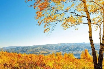 重阳节的由来与传说故事,重阳节的传说故事简短
