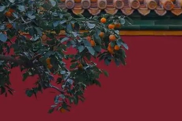 重阳节是为了纪念谁的,九九重阳节是纪念什么