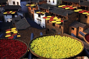 重阳节是为了纪念谁的,九九重阳节是纪念什么