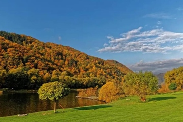 重阳节三大风俗,重阳节有哪三个风俗