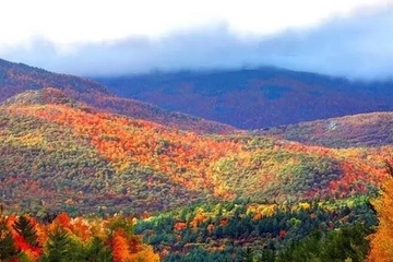 重阳节的经典名句,重阳节的千古佳句
