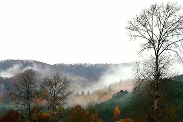 重阳节的经典名句,重阳节的千古佳句