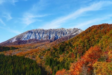 2022年九九重阳节是几月几号,2022年重阳节星期几