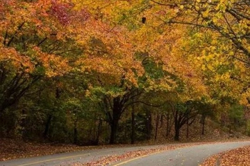 重阳节吉利吗?重阳节的日子好不好