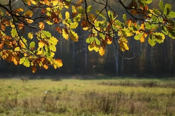 重阳节吉利吗?重阳节的日子好不好