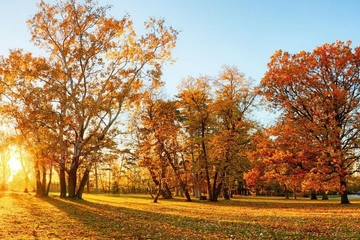九月九日重阳节有什么意义,重阳节的意义是什么