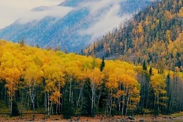 重阳节为什么要登高望远,重阳节登高是为了什么