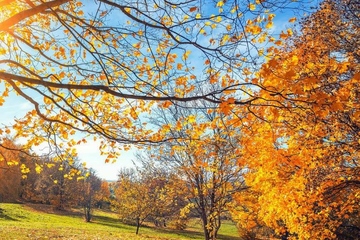 九月九日重阳节又称为什么节,九月九日又叫什么