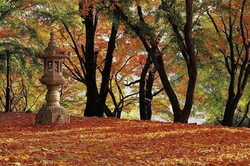 九月九日重阳节又称为什么节,九月九日又叫什么