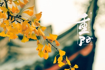 重阳节是老年人过的节日吗