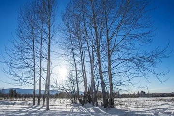 2022年寒衣节什么时候送寒衣